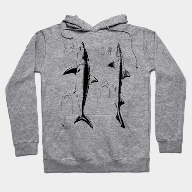 Great White Shark & Mako | Ocean Sea Animal Science Hoodie by encycloart